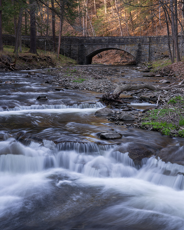 Sony FE 24-70mm F2.8 GM II Review -- Gallery Image