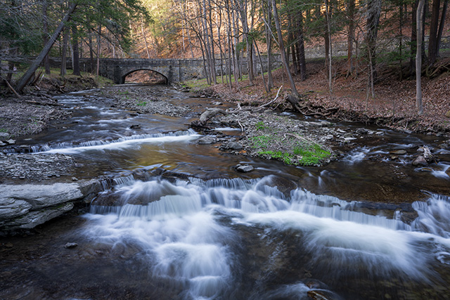 Sony FE 24-70mm F2.8 GM II Review -- Gallery Image