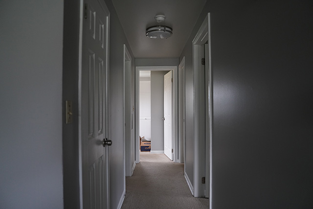 Sony FE 24-70mm F2.8 GM II Review -- Gallery Image