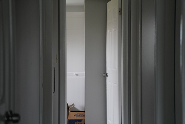 Sony FE 24-70mm F2.8 GM II Review -- Gallery Image