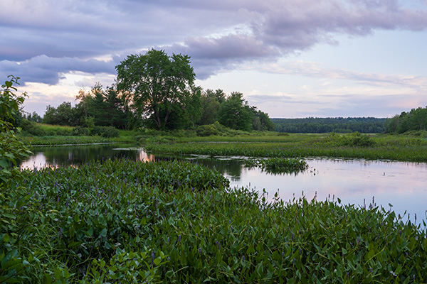 Sony FE 35mm f/1.4 G Master Review: Field Test -- Gallery Image