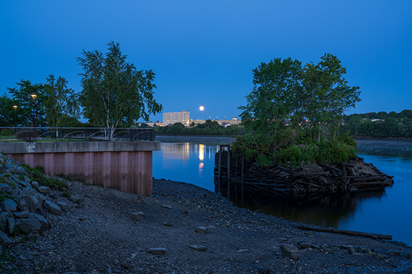 Sony FE 35mm f/1.4 G Master Review: Field Test -- Gallery Image