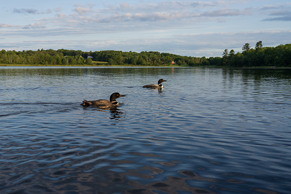 Sony FE 35mm f/1.4 G Master Review: Field Test -- Gallery Image