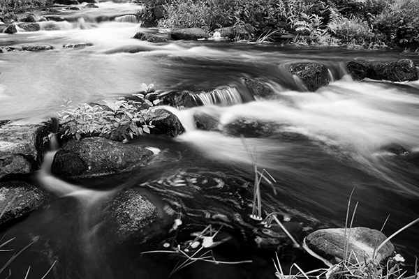 Sony FE 35mm f/1.4 G Master Review: Field Test -- Gallery Image