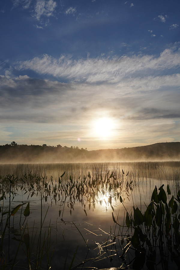 Sony FE 35mm f/1.4 G Master Review: Field Test -- Gallery Image