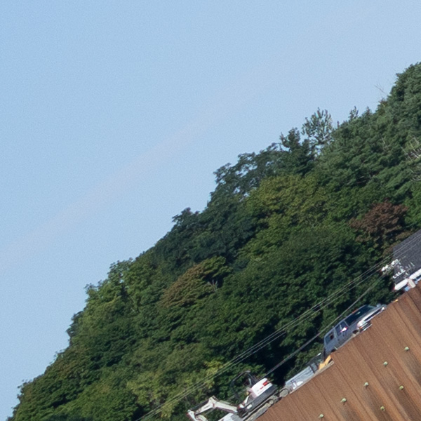 Sony FE 35mm f/1.4 G Master Review: Field Test -- Gallery Image