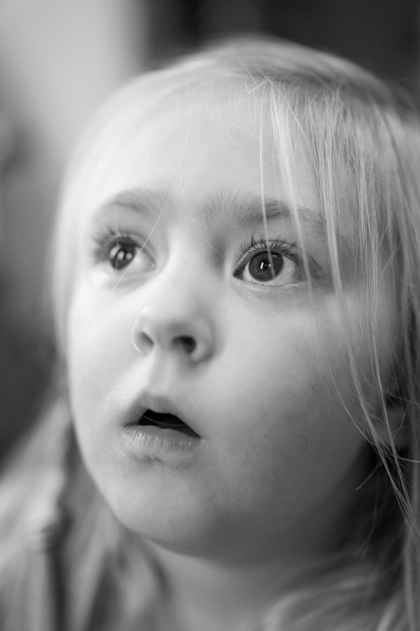 Sony FE 35mm f/1.4 G Master Review: Field Test -- Gallery Image