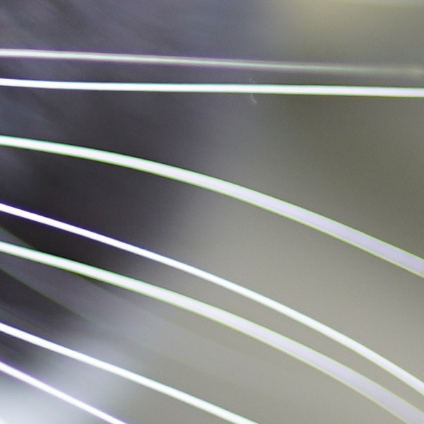 Sony FE 50mm f/1.2 GM Review: Field Test -- Gallery Image