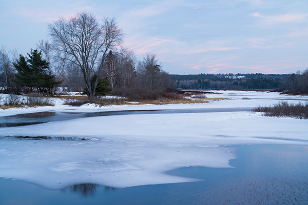Sony FE 50mm f/1.2 GM Review: Field Test -- Gallery Image