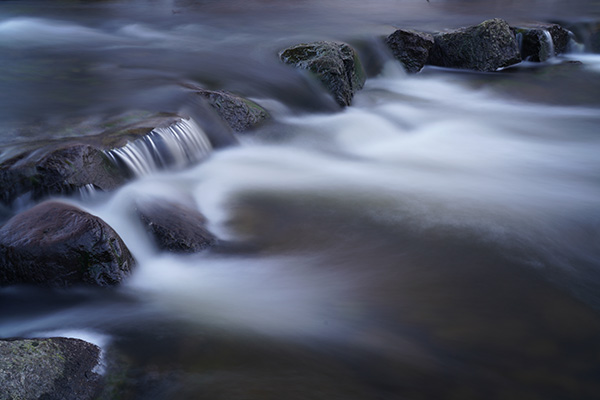 Sony FE 50mm f/1.2 GM Review: Field Test -- Gallery Image