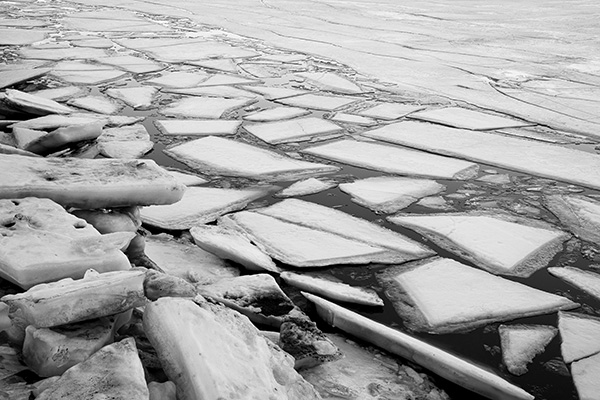 Sony FE 50mm f/1.2 GM Review: Field Test -- Gallery Image