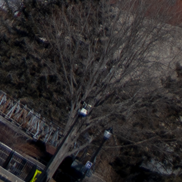 Sony FE 50mm f/1.2 GM Review: Field Test -- Gallery Image