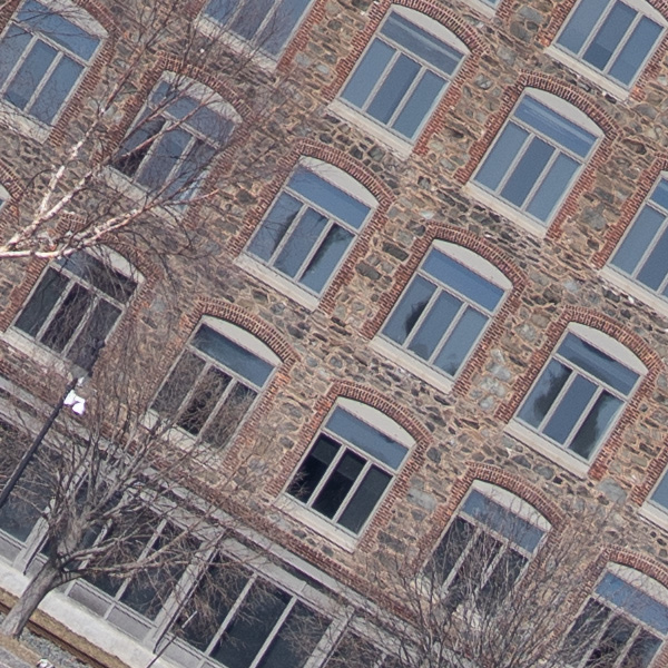 Sony FE 50mm f/1.2 GM Review: Field Test -- Gallery Image