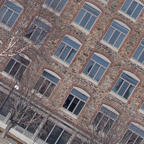 Sony FE 50mm f/1.2 GM Review: Field Test -- Gallery Image