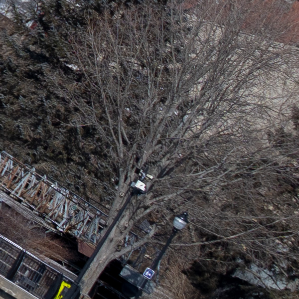 Sony FE 50mm f/1.2 GM Review: Field Test -- Gallery Image