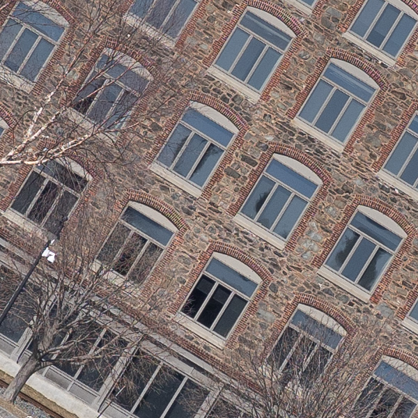 Sony FE 50mm f/1.2 GM Review: Field Test -- Gallery Image