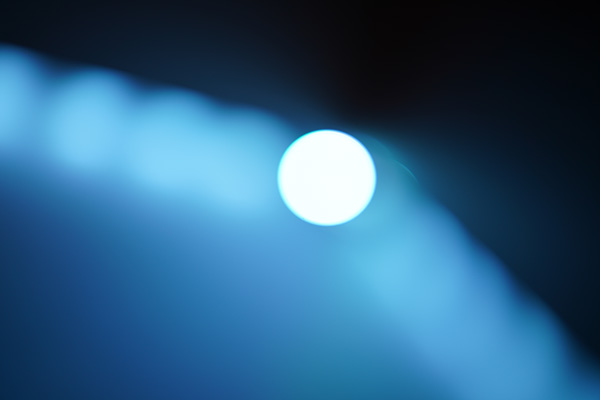 Sony FE 50mm f/1.2 GM Review: Field Test -- Gallery Image