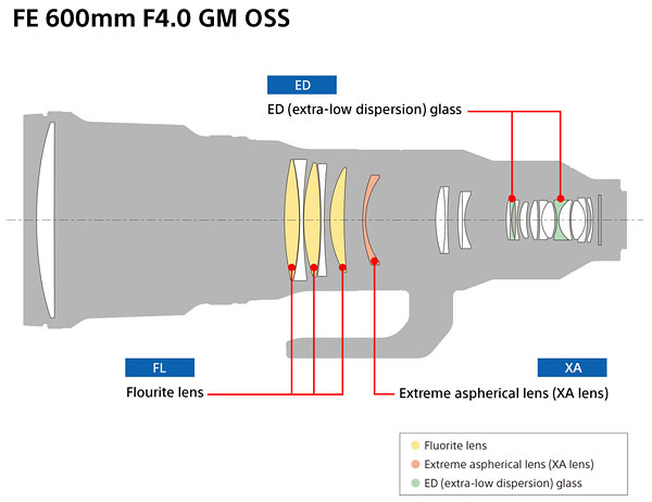 Sony FE 600mm F4 GM OSS Review -- Product Image
