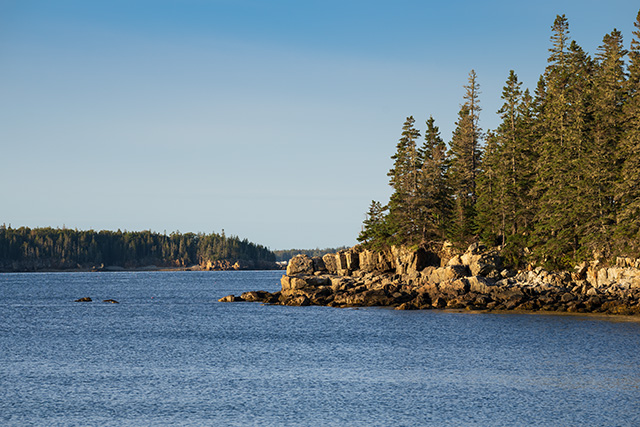 Sony FE 70-200mm f/2.8 GM OSS II Review: Hands-on Review -- Gallery Image