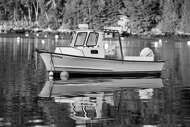 Sony FE 70-200mm f/2.8 GM OSS II Review: Hands-on Review -- Gallery Image