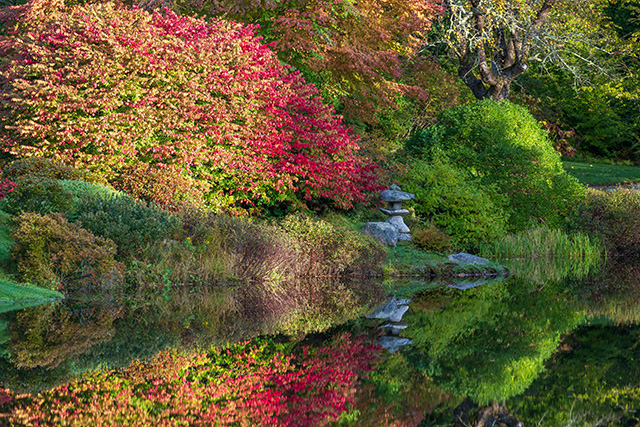 Sony FE 70-200mm f/2.8 GM OSS II Review: Hands-on Review -- Gallery Image