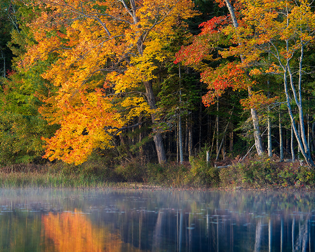 Sony FE 70-200mm f/2.8 GM OSS II Review: Hands-on Review -- Gallery Image