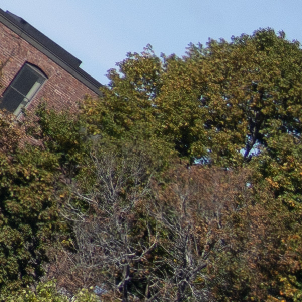 Sony FE 70-200mm f/2.8 GM OSS II Review: Hands-on Review -- Gallery Image