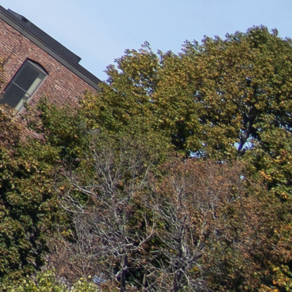 Sony FE 70-200mm f/2.8 GM OSS II Review: Hands-on Review -- Gallery Image