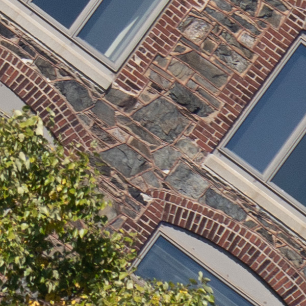 Sony FE 70-200mm f/2.8 GM OSS II Review: Hands-on Review -- Gallery Image