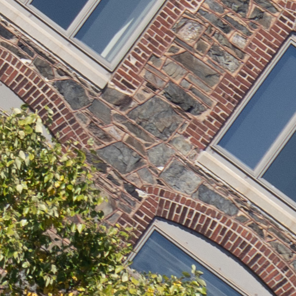 Sony FE 70-200mm f/2.8 GM OSS II Review: Hands-on Review -- Gallery Image