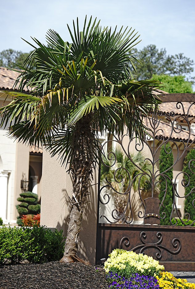 Sony 70-300mm G Review - Sample gallery