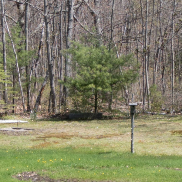 Tamron 10-24mm f/3.5-4.5 Di II VC HLD Review: Field Test -- Gallery Image