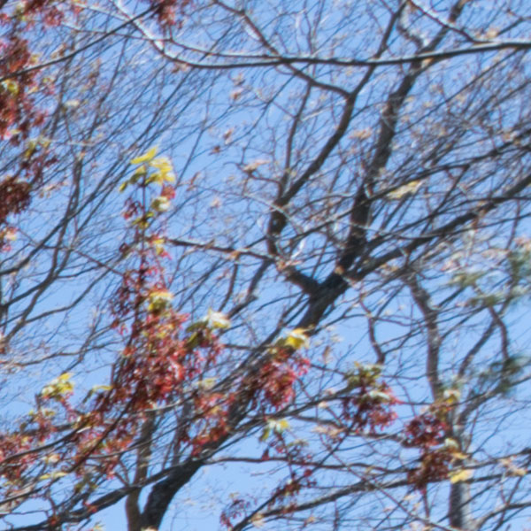 Tamron 10-24mm f/3.5-4.5 Di II VC HLD Review: Field Test -- Gallery Image