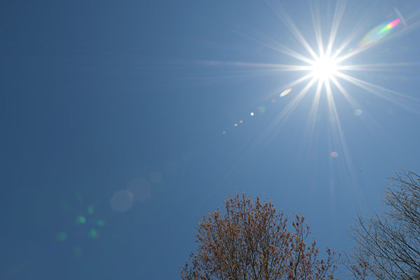 Tamron 10-24mm f/3.5-4.5 Di II VC HLD Review: Field Test -- Gallery Image