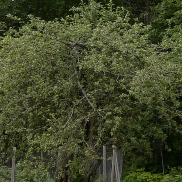 Tamron 10-24mm f/3.5-4.5 Di II VC HLD Review: Field Test -- Gallery Image