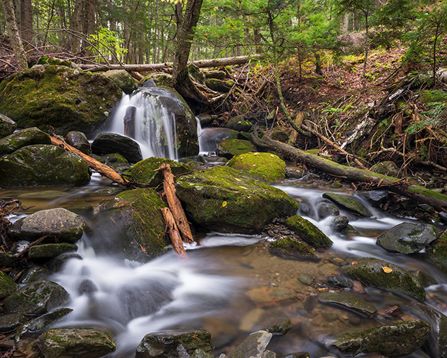 Tamron 11-20mm F2.8 Di III-A RXD Review -- Gallery Image