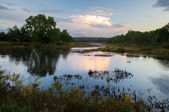 Tamron 11-20mm F2.8 Di III-A RXD Review -- Gallery Image
