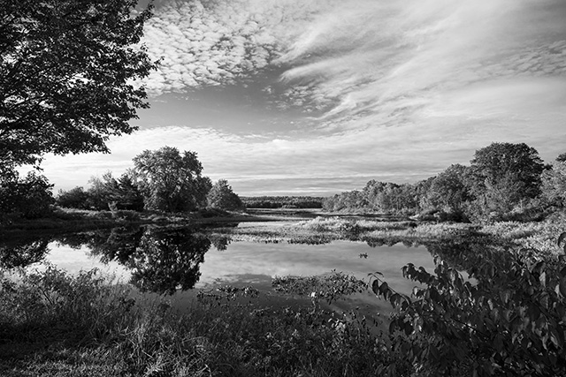 Tamron 11-20mm F2.8 Di III-A RXD Review -- Gallery Image