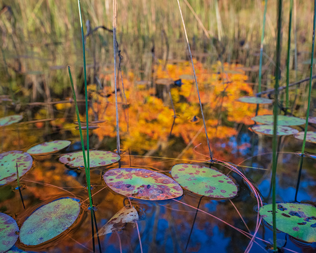 Tamron 11-20mm F2.8 Di III-A RXD Review -- Gallery Image