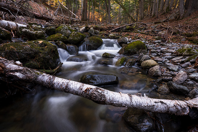 Tamron 11-20mm F2.8 Di III-A RXD Review -- Gallery Image
