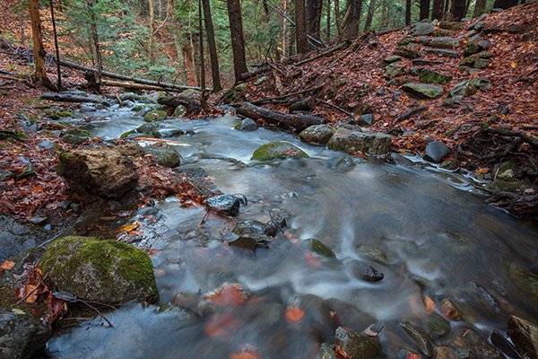 Tamron 15-30mm f/2.8 Di VC USD G2 Review: Field Test -- Gallery Image