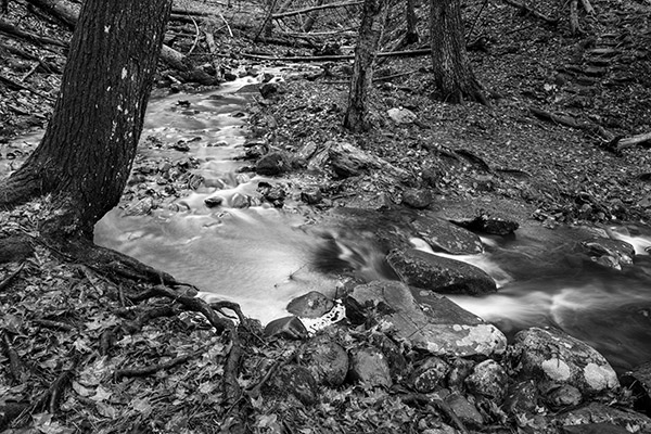 Tamron 15-30mm f/2.8 Di VC USD G2 Review: Field Test -- Gallery Image