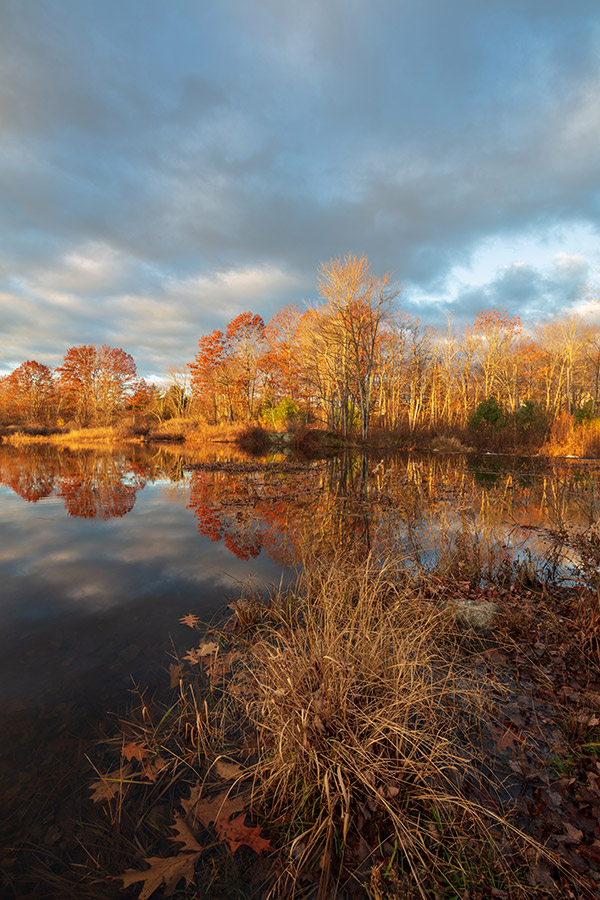 Tamron 15-30mm f/2.8 Di VC USD G2 Review: Field Test -- Gallery Image