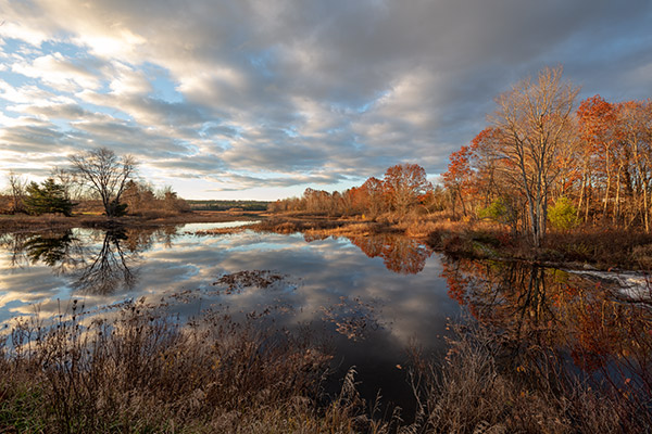Tamron 15-30mm f/2.8 Di VC USD G2 Review: Field Test -- Gallery Image
