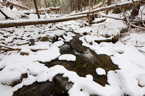 Tamron 15-30mm f/2.8 Di VC USD G2 Review: Field Test -- Gallery Image
