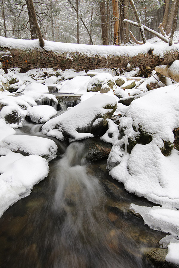 Tamron 15-30mm f/2.8 Di VC USD G2 Review: Field Test -- Gallery Image