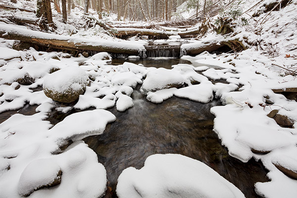 Tamron 15-30mm f/2.8 Di VC USD G2 Review: Field Test -- Gallery Image