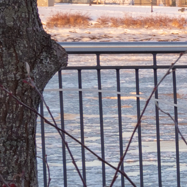 Tamron 15-30mm f/2.8 Di VC USD G2 Review: Field Test -- Gallery Image