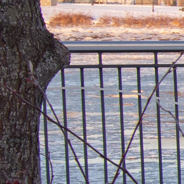 Tamron 15-30mm f/2.8 Di VC USD G2 Review: Field Test -- Gallery Image