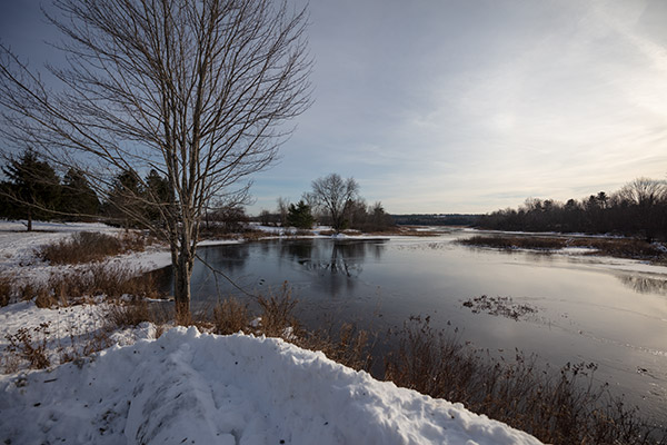 Tamron 15-30mm f/2.8 Di VC USD G2 Review: Field Test -- Gallery Image